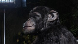 Primate Cinema: Apes as Family